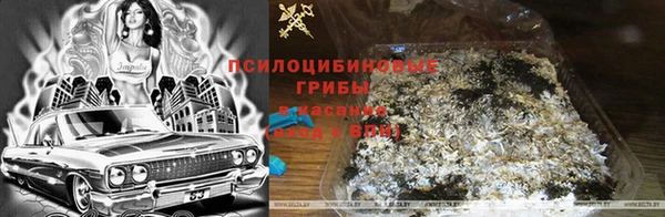 не бодяженный Протвино