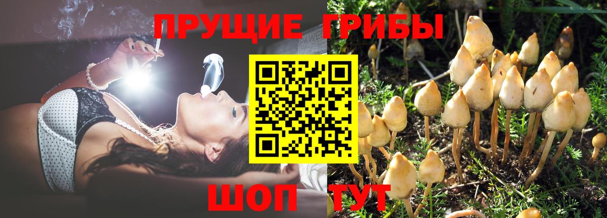 Псилоцибиновые грибы Cubensis  Вход с VPN  Донецк 